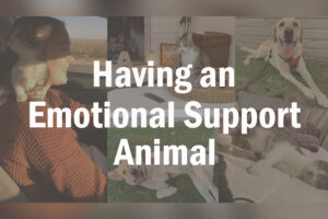 Having an emotional support animal