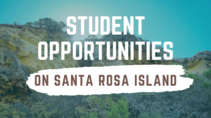 Student opportunities at Santa Rosa Island