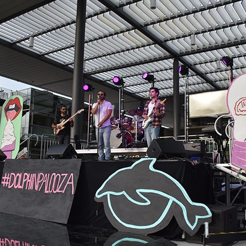 The band Road Brothers performs on the Dolphinpalooza stage. Photo credit to Sarina Galindo.