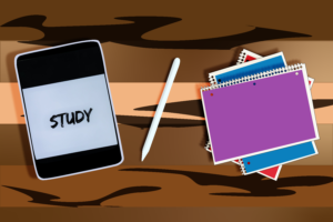 Student-submitted strategies for scholarly success