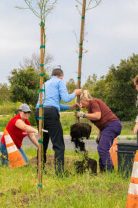Root for the Trees: CI plants 20 trees for Arbor Day 