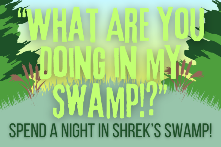 What Are You Doing in my Swamp!?