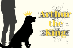 Arthur the King: A Movie Review