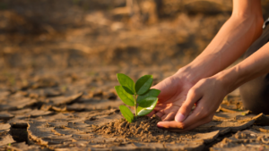 Opinion Piece: Future of Farming in California