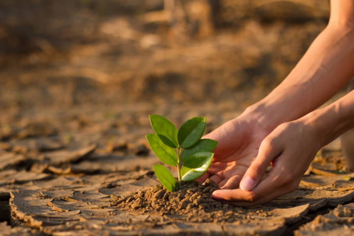 Opinion Piece: Future of Farming in California