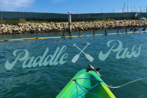 Activities for CI Students at Channel Islands Harbor
