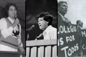Power and silence in the Chávez movement