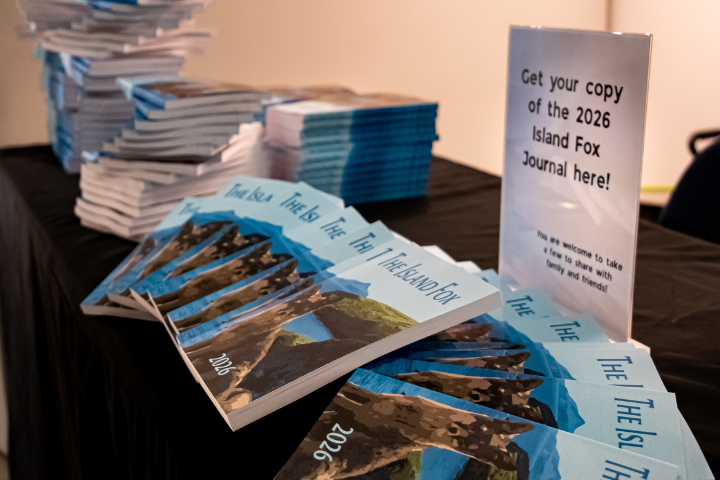 The Island Fox reading event: a celebration of creativity